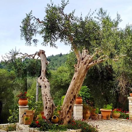 Fountana Villa Raxi מראה חיצוני תמונה
