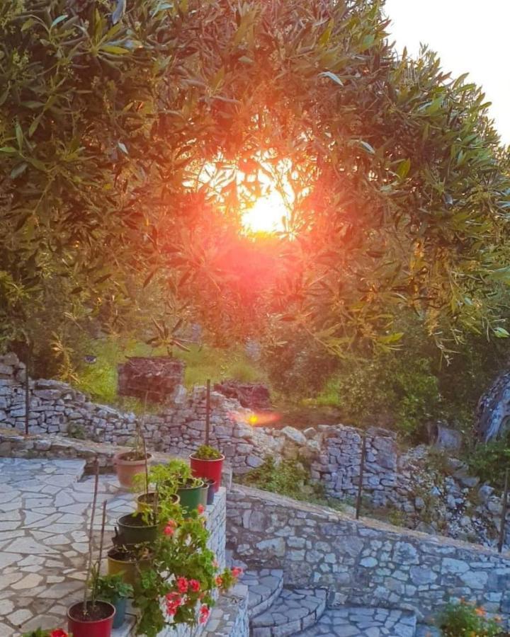 Fountana Villa Raxi מראה חיצוני תמונה